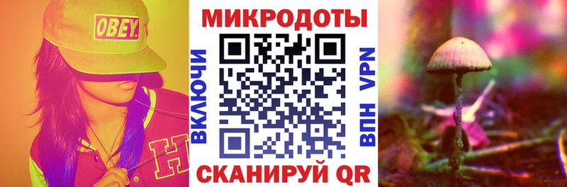 Купить  Луга  Галлюциногенные грибы MAGIC MUSHROOMS 
